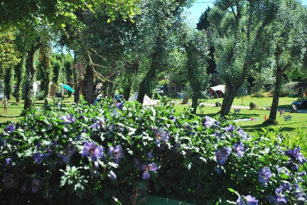 Camping Les Tournesols Sillé-le-Guillaume Exteriör bild