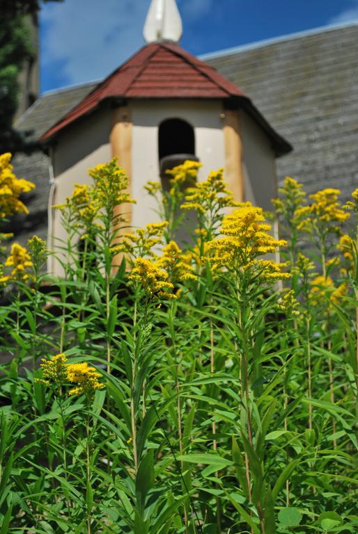 Camping Les Tournesols Sillé-le-Guillaume Exteriör bild