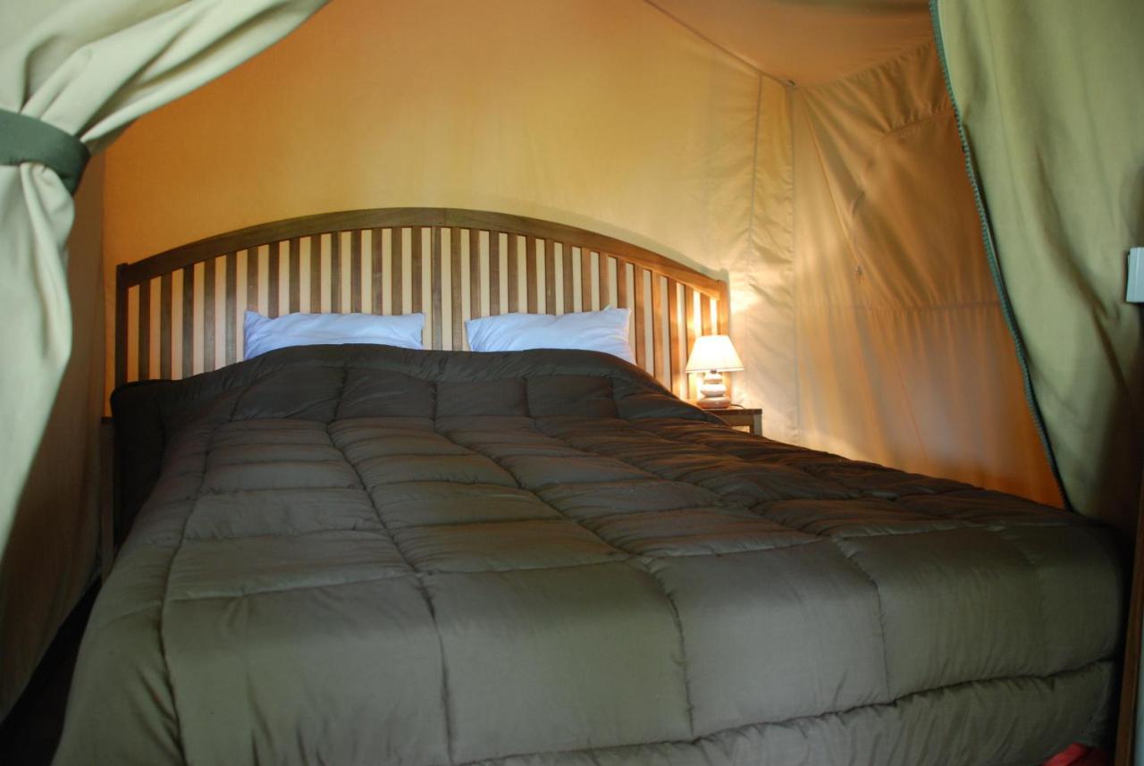 Camping Les Tournesols Sillé-le-Guillaume Exteriör bild
