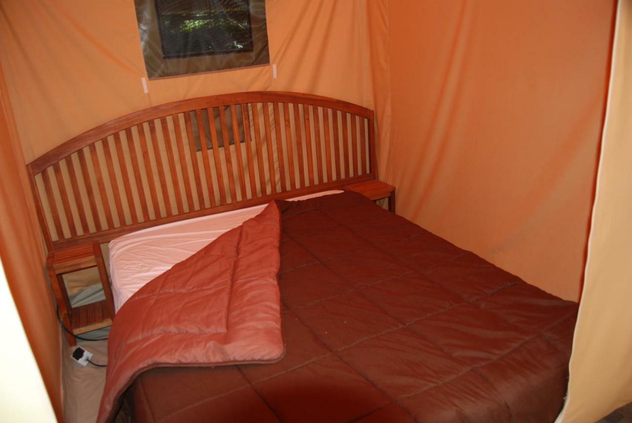 Camping Les Tournesols Sillé-le-Guillaume Exteriör bild